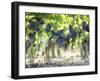 Cabernet Sauvignon Grapes-Joerg Lehmann-Framed Photographic Print