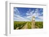 Cabernet Sauvignon Vineyards, Pepper Bridge Winery, Washington, USA-Richard Duval-Framed Photographic Print