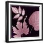 Cabernet Sunprint Leaves-Dan Zamudio-Framed Art Print