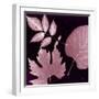 Cabernet Sunprint Leaves-Dan Zamudio-Framed Art Print