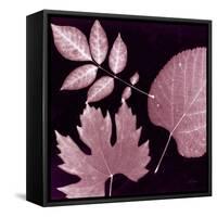 Cabernet Sunprint Leaves-Dan Zamudio-Framed Stretched Canvas