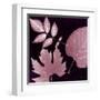 Cabernet Sunprint Leaves-Dan Zamudio-Framed Art Print