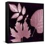 Cabernet Sunprint Leaves-Dan Zamudio-Framed Stretched Canvas