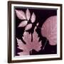 Cabernet Sunprint Leaves-Dan Zamudio-Framed Art Print