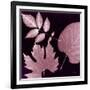 Cabernet Sunprint Leaves-Dan Zamudio-Framed Art Print