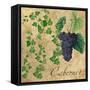 Cabernet-Mindy Sommers-Framed Stretched Canvas