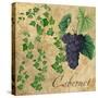 Cabernet-Mindy Sommers-Stretched Canvas