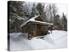 Cabin at the AMC's Little Lyford Pond Camps, Northern Forest, Maine, USA-Jerry & Marcy Monkman-Stretched Canvas