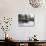 Cabin at the AMC's Little Lyford Pond Camps, Northern Forest, Maine, USA-Jerry & Marcy Monkman-Photographic Print displayed on a wall