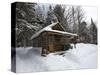 Cabin at the AMC's Little Lyford Pond Camps, Northern Forest, Maine, USA-Jerry & Marcy Monkman-Stretched Canvas