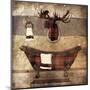 Cabin Bath-Jace Grey-Mounted Art Print