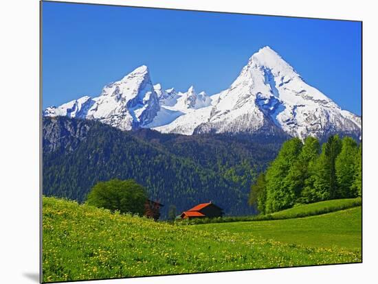 Cabin Below Watzmann Mountain in Bavarian Alps-Walter Geiersperger-Mounted Photographic Print