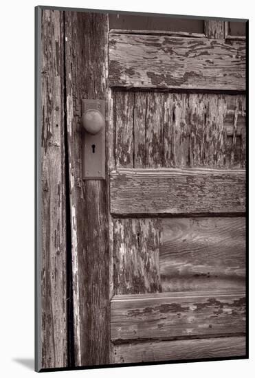 Cabin Door BW-Steve Gadomski-Mounted Photographic Print