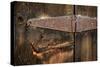 Cabin Hinge-Kathy Mahan-Stretched Canvas