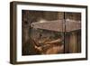 Cabin Hinge-Kathy Mahan-Framed Photographic Print