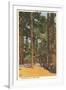 Cabin in Northern Pines, Minnesota-null-Framed Art Print