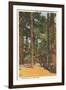 Cabin in Northern Pines, Minnesota-null-Framed Art Print