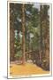 Cabin in Northern Pines, Minnesota-null-Mounted Art Print