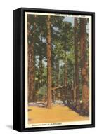 Cabin in Northern Pines, Minnesota-null-Framed Stretched Canvas