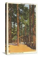 Cabin in Northern Pines, Minnesota-null-Stretched Canvas