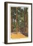 Cabin in Northern Pines, Minnesota-null-Framed Art Print