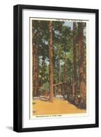 Cabin in Northern Pines, Minnesota-null-Framed Art Print