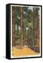 Cabin in Northern Pines, Minnesota-null-Framed Stretched Canvas