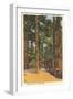 White Frame