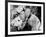 Cabin in the Sky, Lena Horne, Eddie 'Rochester' Anderson, 1943-null-Framed Photo