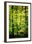 Cabin in the Woods-Philippe Sainte-Laudy-Framed Photographic Print