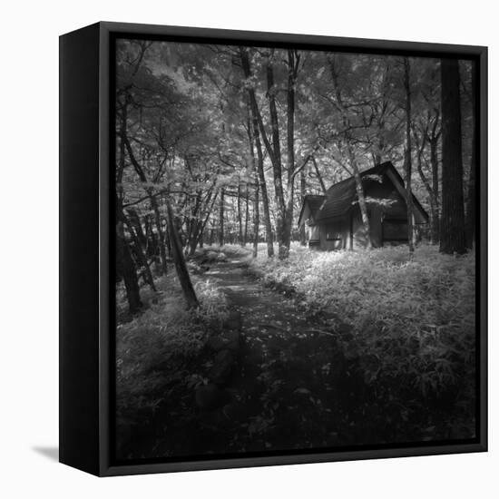 Cabin in the Woods-Michael de Guzman-Framed Stretched Canvas