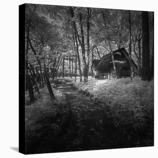 Cabin in the Woods-Michael de Guzman-Stretched Canvas