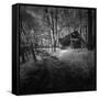 Cabin in the Woods-Michael de Guzman-Framed Stretched Canvas