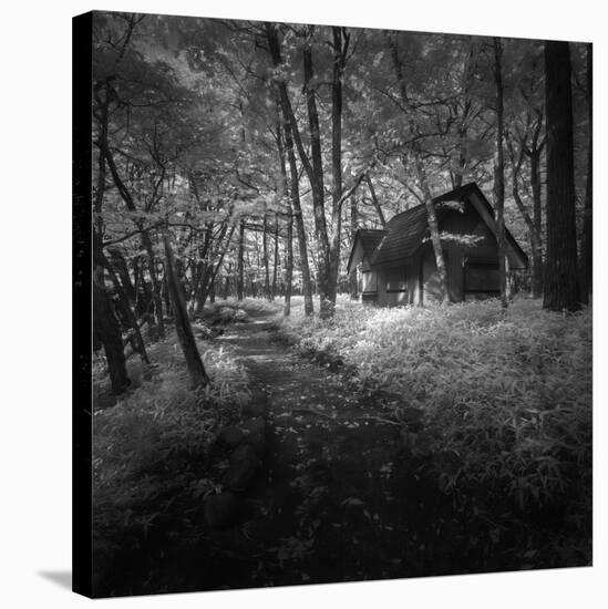 Cabin in the Woods-Michael de Guzman-Stretched Canvas