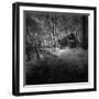 Cabin in the Woods-Michael de Guzman-Framed Photographic Print