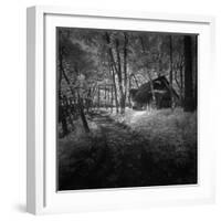 Cabin in the Woods-Michael de Guzman-Framed Photographic Print