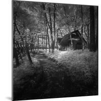 Cabin in the Woods-Michael de Guzman-Mounted Photographic Print