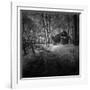 Cabin in the Woods-Michael de Guzman-Framed Photographic Print