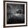 Cabin in the Woods-Michael de Guzman-Framed Photographic Print