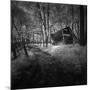 Cabin in the Woods-Michael de Guzman-Mounted Photographic Print