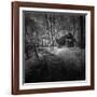 Cabin in the Woods-Michael de Guzman-Framed Photographic Print