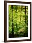 Cabin in the Woods-Philippe Sainte-Laudy-Framed Photographic Print