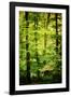 Cabin in the Woods-Philippe Sainte-Laudy-Framed Photographic Print