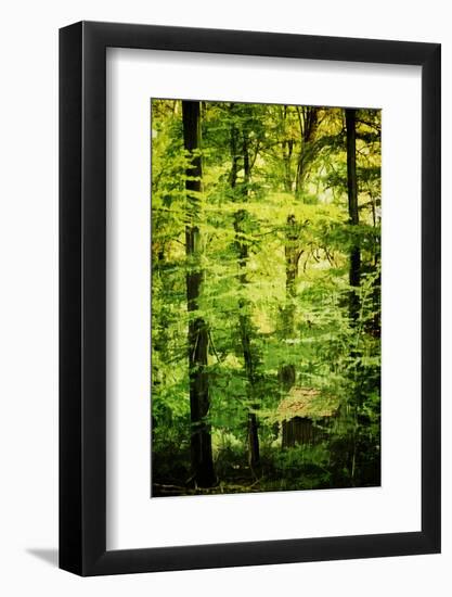 Cabin in the Woods-Philippe Sainte-Laudy-Framed Photographic Print