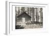 Cabin In The Woods-Milli Villa-Framed Art Print