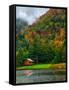 Cabin on the Lake-Steven Maxx-Framed Stretched Canvas