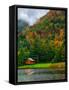 Cabin on the Lake-Steven Maxx-Framed Stretched Canvas