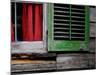 Cabin Shutters-Gail Peck-Mounted Photo