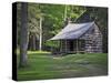 Cabin-J.D. Mcfarlan-Stretched Canvas