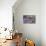 Cabin-The Macneil Studio-Stretched Canvas displayed on a wall